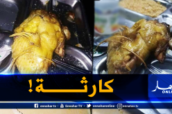 “دجاج بالريش”.. طبق الطلبة الجامعيين!