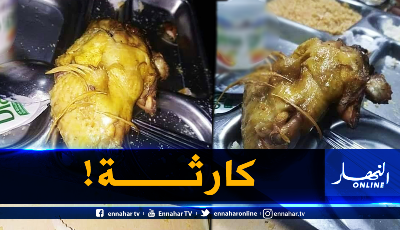 “دجاج بالريش”.. طبق الطلبة الجامعيين!