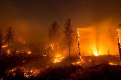 المتهم بحرائق كاليفورنيا في قبضة الأمن