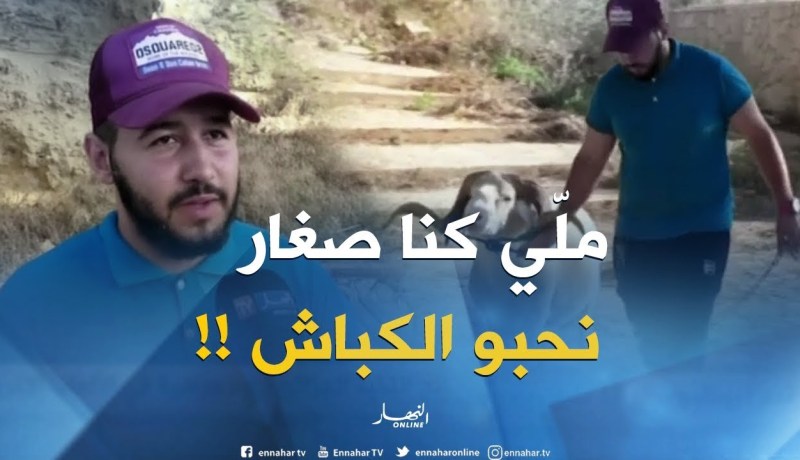 بالفيديو .. هذه هي حكاية يوسف مع كباش المصارعة
