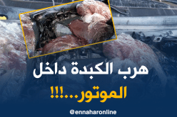 بالصور ..محاولة تهريب 150 كلغ من كبد البقر من تونس
