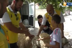 بالفيديو- جمعيات خيرية ترسم البسمة على الأيتام بأضحية العيد