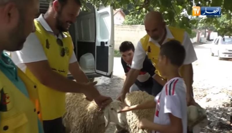 بالفيديو- جمعيات خيرية ترسم البسمة على الأيتام بأضحية العيد