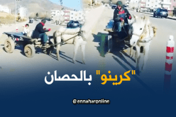 بالفيديو.. سائق عربة يتفنّن في “الكرينو”