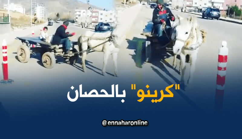 بالفيديو.. سائق عربة يتفنّن في “الكرينو”