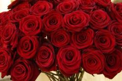 تفسير رؤية الورد في المنام