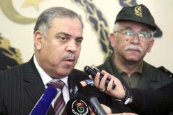 كمال شادي: قيمة الانتاج الفلاحي تجاوزت 3216 مليار دينار سنة 2018