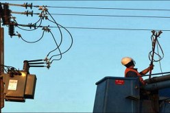 باتنة.. طائر لقلق يتسبب في قطع التيار الكهربائي على عدد من البلديات