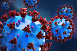إمكانية الإصابة بسلالتين من كورونا في وقت واحد