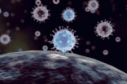 أكثر من 19 مليون إصابة بـ”كورونا” في العالم.. ورقم وفيات “مفزع” بأمريكا