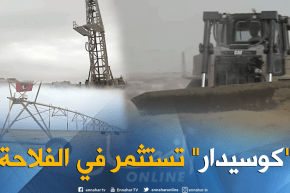 طالع هابط: كوسيدار تستثمر في الفلاحة.. وأين في الصحراء..راكم طالعين