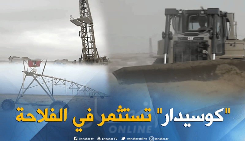 طالع هابط: كوسيدار تستثمر في الفلاحة.. وأين في الصحراء..راكم طالعين