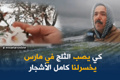 الثلج والجليد يهددان الأشجار المثمرة بالمدية