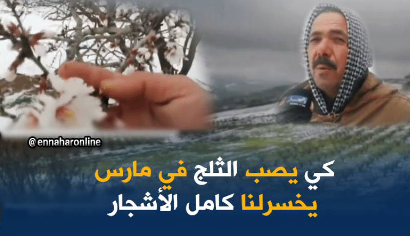 الثلج والجليد يهددان الأشجار المثمرة بالمدية
