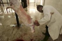 وزارة الصحة تحذّر المواطنين من “الكيس المائي”