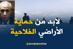 محمد عليوي: المادة 19 من الدستور يجب أن تطبق حمايةً للأراضي الفلاحية