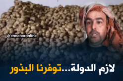 غليزان/ إنتاج البطاطا..إستثمار مرهون بإستيراد البذور