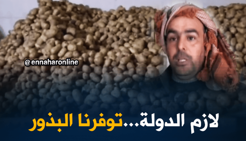 غليزان/ إنتاج البطاطا..إستثمار مرهون بإستيراد البذور