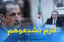 كعوان: تجاوزات القنوات الخاصة راجعة لنقص الخبرة