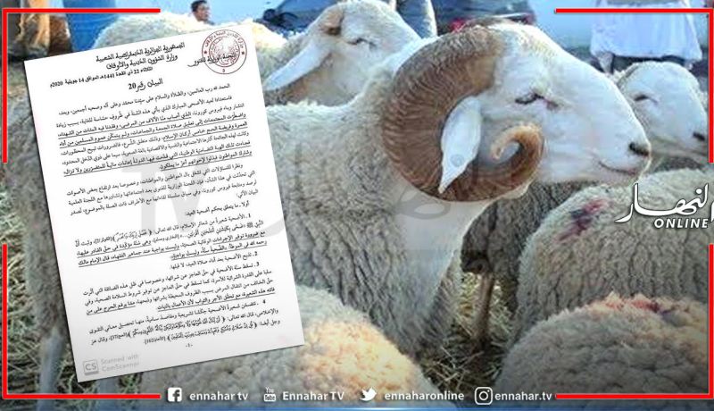 اللجنة الوزارية للفتوى تصدر بيانا حول عيد الأضحى