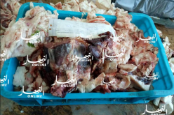 حجز 374 كيلوغرام من اللحوم موجهة للبيع دون شهادة بيطرية في تيارت