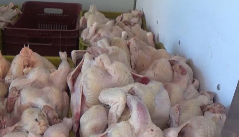 حجز 60 كلغ دجاج وأحشاء فاسدة موجهة للاستهلاك البشري في ميلة