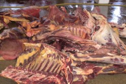 حجز أكثر من 60 كلغ من اللحوم الموجهة للإستهلاك البشري بسيدي بلعباس 