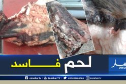 عنابة.. حجز 249 كيلوغرام من اللحوم الفاسدة بحي 8 مارس