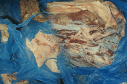 بالصور.. حجز 4 قناطير من اللحوم الفاسدة ببلعباس