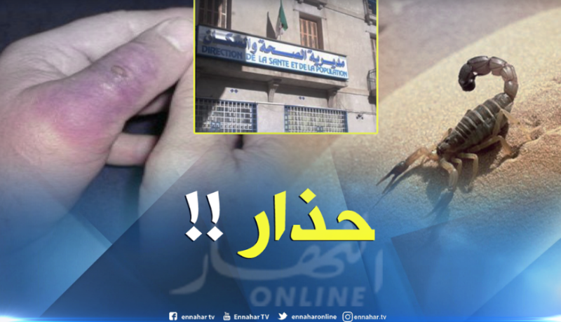 سكان تيارت الأكثر تعرضا للسعات العقرب في غرب البلاد