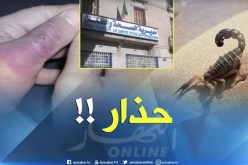 تسجيل أزيد من 120 لسعة عقرب خلال أسبوعين بتيارت