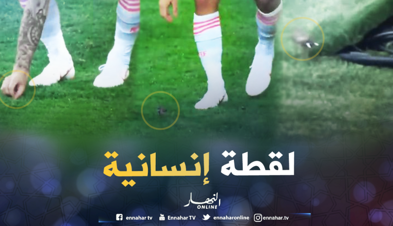 بالفيديو.. لقطة إنسانية من “إيسكو” إتجاه “عصفور” خلال لقاء إيران