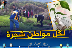 الميراث الأخضر .. حملة وطنية تدعو لغرس 40 مليون شجرة في البلاد
