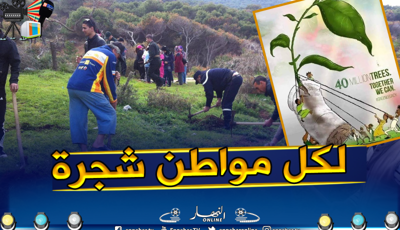 الميراث الأخضر .. حملة وطنية تدعو لغرس 40 مليون شجرة في البلاد