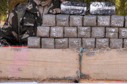 توقيف 16 بارون مخدرات وحجز قرابة 6 قناطير زطلة بعدة ولايات