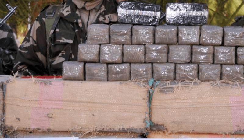 توقيف 16 بارون مخدرات وحجز قرابة 6 قناطير زطلة بعدة ولايات