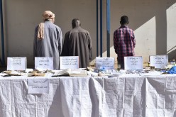 النعامة: توقيف 3 أشخاص يمتهنون السحر والشعوذة