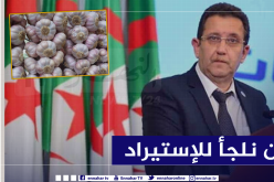 حمداني: إنتقلنا من بلد مستورد للثوم لبلد مصدر له