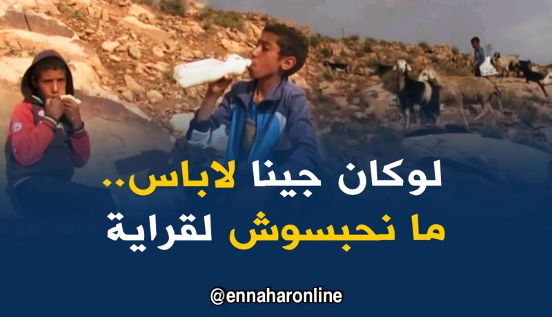 النعامة: أطفال البدو الرحل يقاطعون الدراسة من أجل لقمة العيش