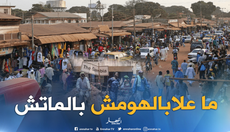 مواجهة الخضر لا حدث في أوساط الشعب الغامبي !