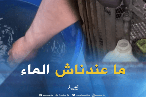 الشلف: سوق الجملة من دون مياه..والتجار يطالبون بالحلول