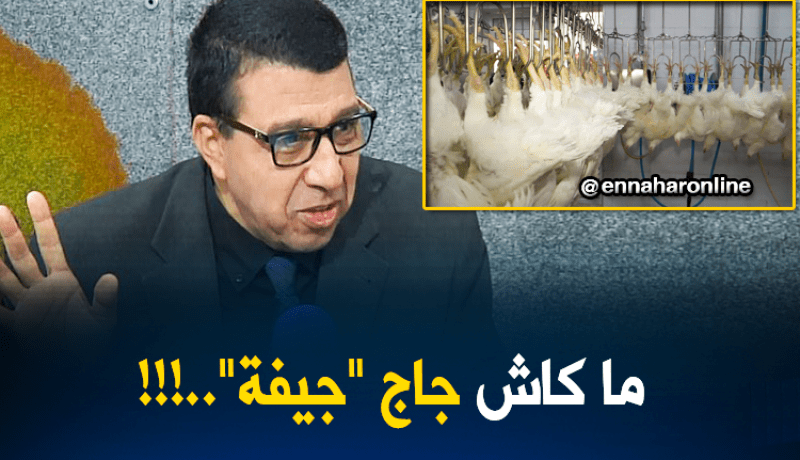 المذابح حاليا لا تزال تذبح الدجاج بالطريقة التقليدية