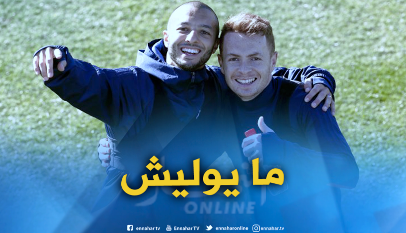 أدريان تريبل: “لا أتوقع عودة هني لأندرلخت”