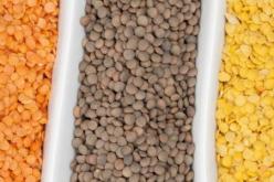 بوعزقي: ارتفاع المساحات المزروعة بالبقوليات بـ49 بالمائة