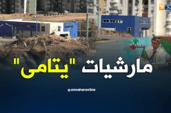 الشيخ النوي: “المارشيات” اليتامى بالمدينة الجديدة بقسنطينة