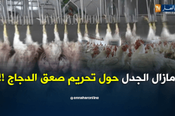 فتح نقاش عام حول شعبة الدواجن لتجاوز الحديث عن الصعق