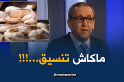 خبير: الثوم لم يدرج في قائمة المواد الممنوعة من الإستيراد وهذا هو المشكل