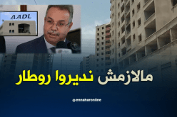 تمار يطالب مدراء السكن بالإسراع في وتيرة الإنجاز