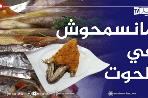 رغم إرتفاع أسعارها .. الجزائري لايتخلى عن تناول الأسماك ولو لمرة في الشهر