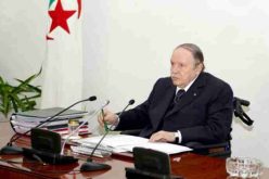 مجلس الوزراء: المصادقة على مشروع قانون نشاط الطب البيطري وحماية الحيوانات